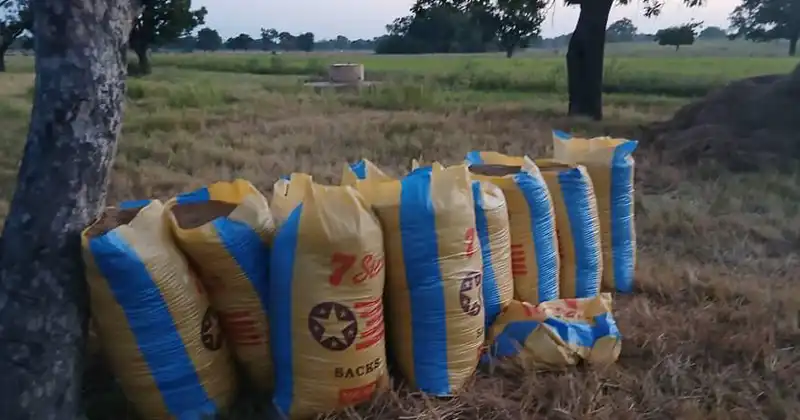 Agro-Pastoral-Project-Programs